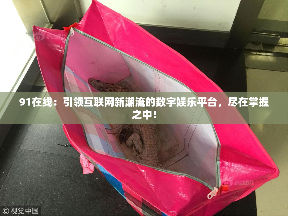 91在线：引领互联网新潮流的数字娱乐平台，尽在掌握之中！