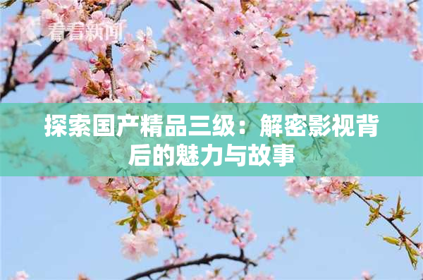 探索国产精品三级：解密影视背后的魅力与故事