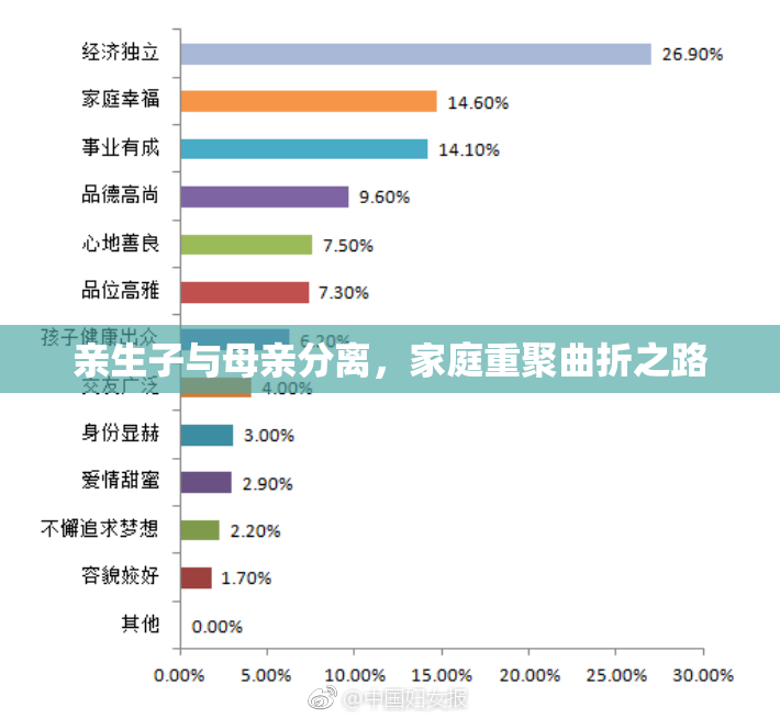 亲生子与母亲分离，家庭重聚曲折之路