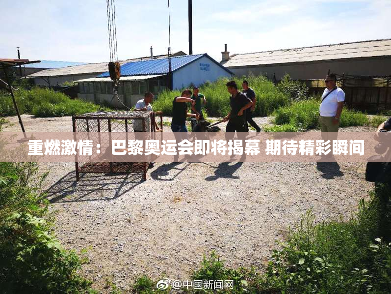 重燃激情：巴黎奥运会即将揭幕 期待精彩瞬间