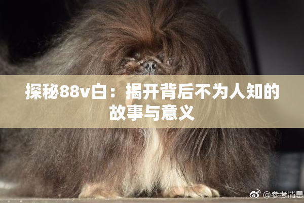 探秘88v白：揭开背后不为人知的故事与意义
