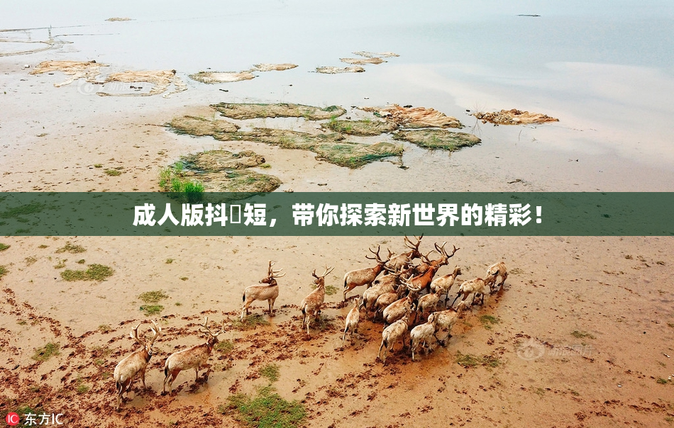 成人版抖抈短，带你探索新世界的精彩！