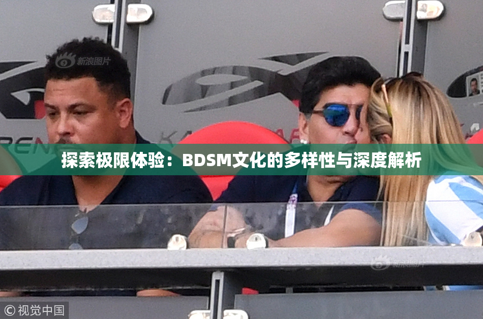 探索极限体验：BDSM文化的多样性与深度解析