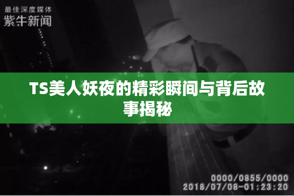 TS美人妖夜的精彩瞬间与背后故事揭秘