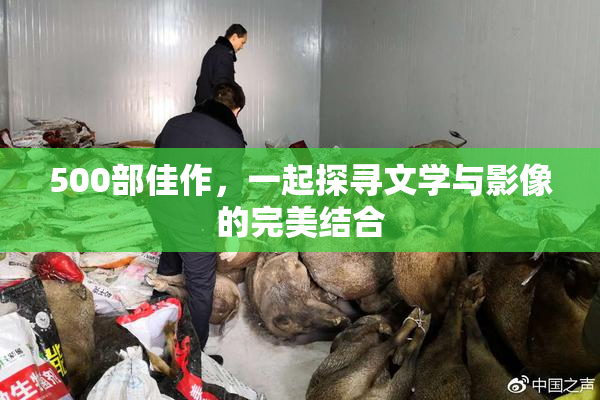 500部佳作，一起探寻文学与影像的完美结合