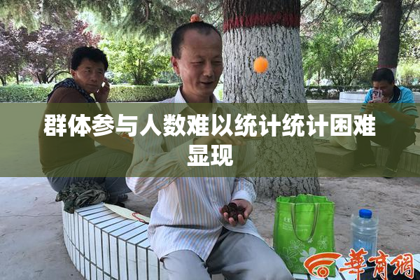 群体参与人数难以统计统计困难显现