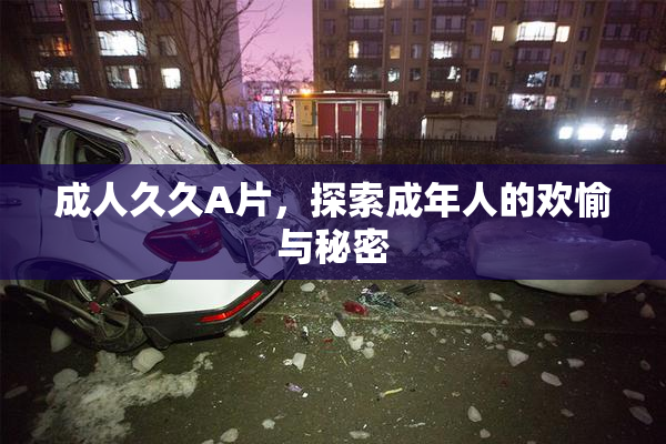 成人久久A片，探索成年人的欢愉与秘密