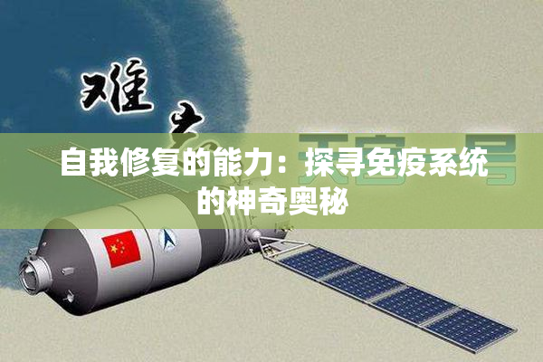 自我修复的能力：探寻免疫系统的神奇奥秘