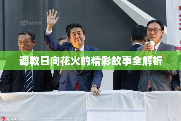 调教日向花火的精彩故事全解析