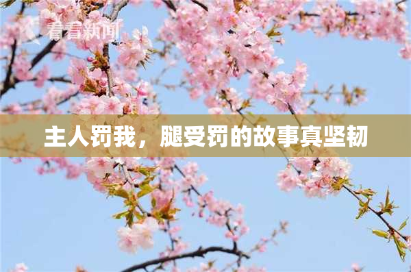 主人罚我，腿受罚的故事真坚韧