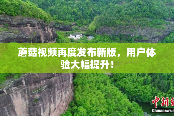 蘑菇视频再度发布新版，用户体验大幅提升！