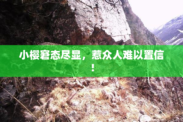 小樱窘态尽显，惹众人难以置信！