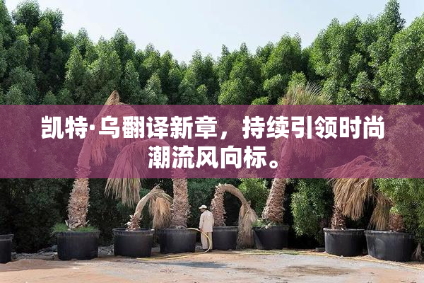 凯特·乌翻译新章，持续引领时尚潮流风向标。