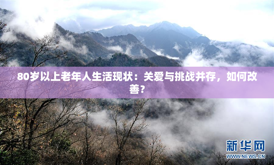 80岁以上老年人生活现状：关爱与挑战并存，如何改善？