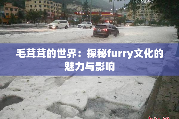 毛茸茸的世界：探秘furry文化的魅力与影响