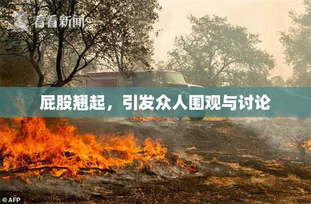 屁股翘起，引发众人围观与讨论