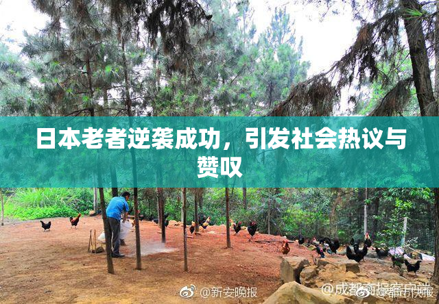 日本老者逆袭成功，引发社会热议与赞叹