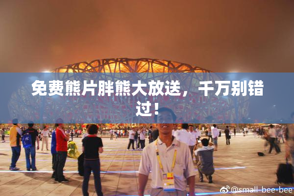 免费熊片胖熊大放送，千万别错过！