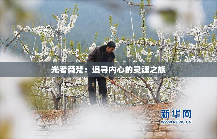 光者荷梵：追寻内心的灵魂之旅
