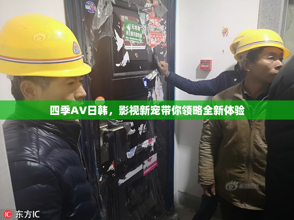 四季AV日韩，影视新宠带你领略全新体验