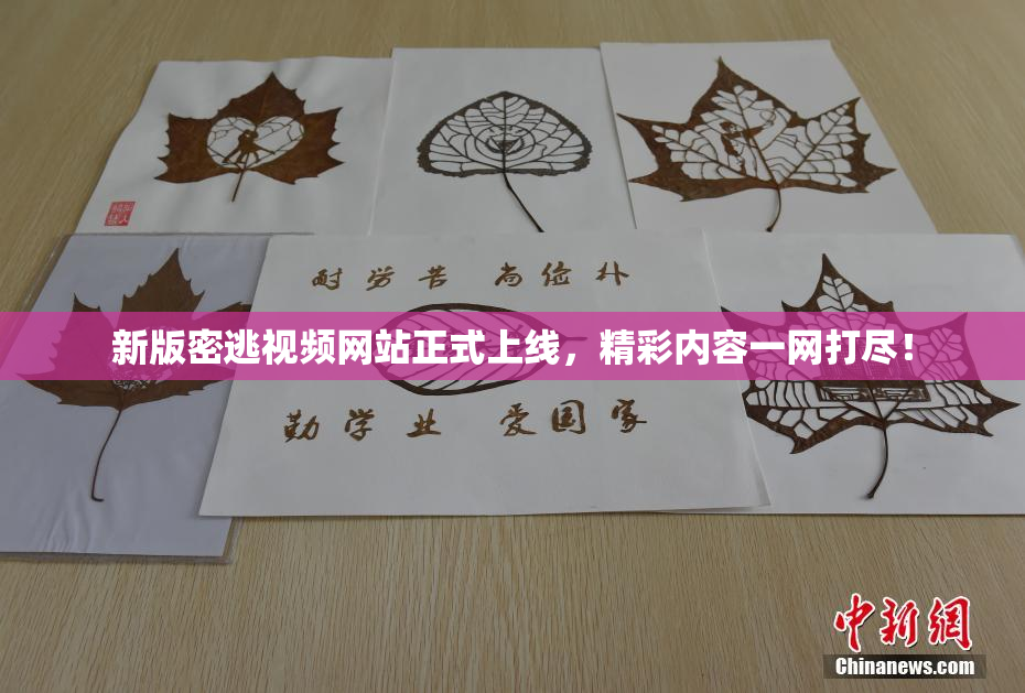新版密逃视频网站正式上线，精彩内容一网打尽！