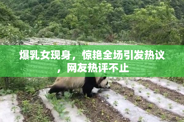 爆乳女现身，惊艳全场引发热议，网友热评不止