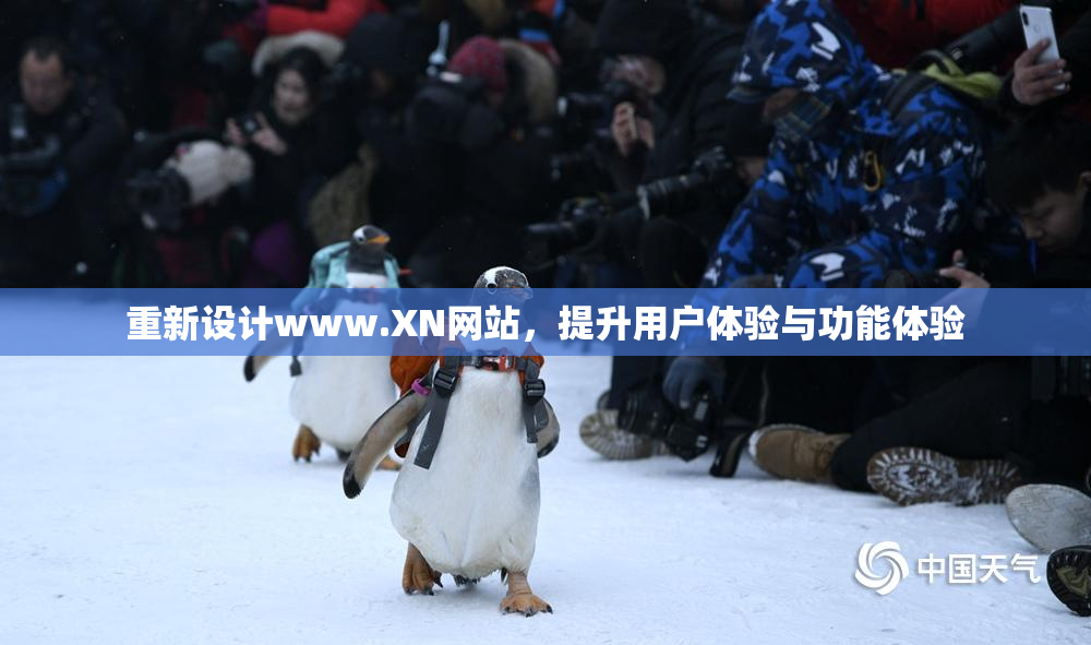 重新设计www.XN网站，提升用户体验与功能体验