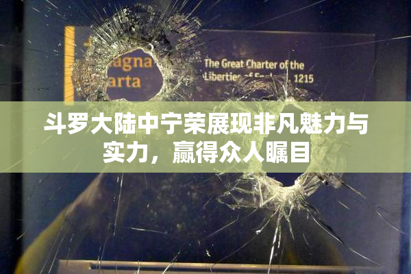 斗罗大陆中宁荣展现非凡魅力与实力，赢得众人瞩目