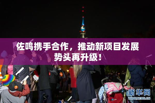 佐鸣携手合作，推动新项目发展势头再升级！