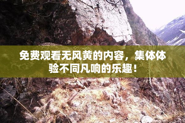 免费观看无风黄的内容，集体体验不同凡响的乐趣！