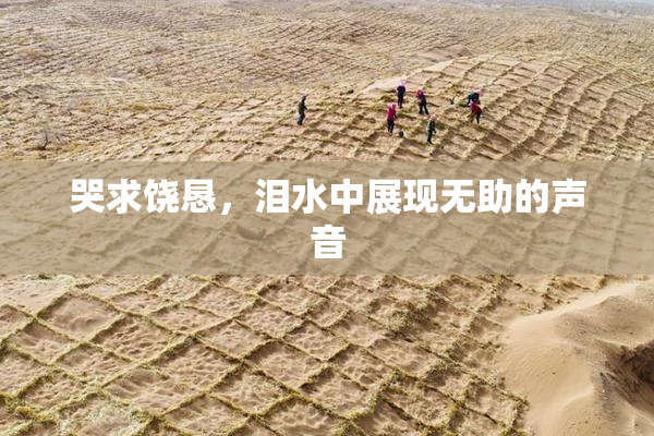 哭求饶恳，泪水中展现无助的声音
