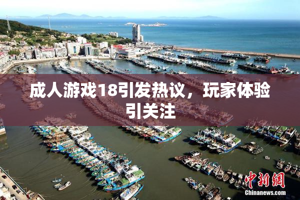 成人游戏18引发热议，玩家体验引关注