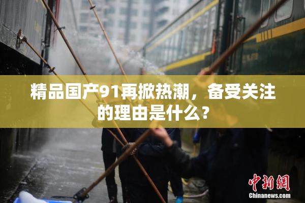 精品国产91再掀热潮，备受关注的理由是什么？
