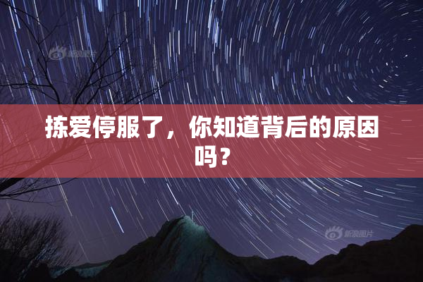 拣爱停服了，你知道背后的原因吗？