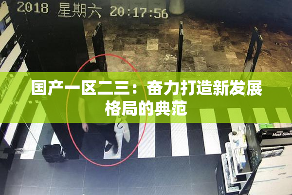 国产一区二三：奋力打造新发展格局的典范