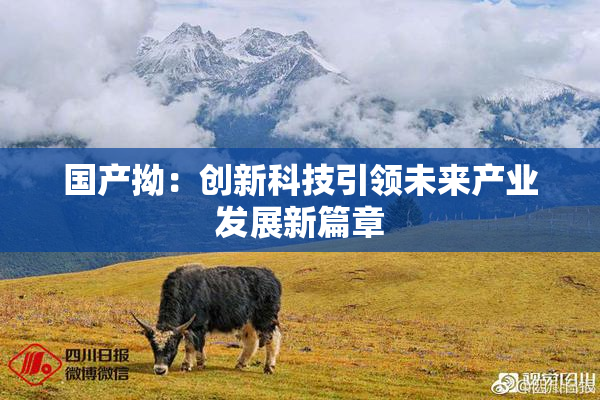国产拗：创新科技引领未来产业发展新篇章