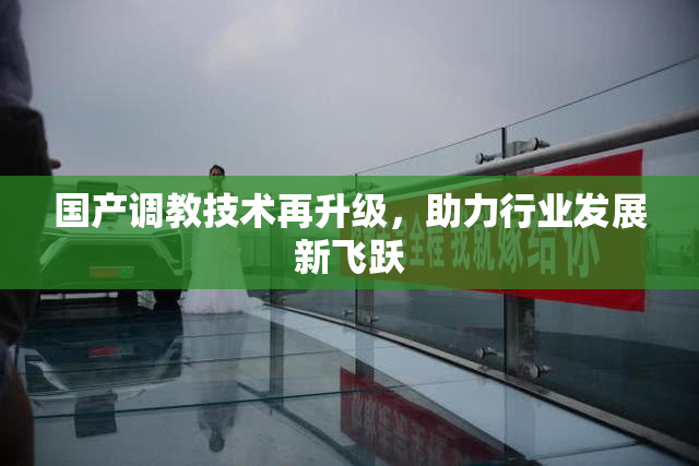 国产调教技术再升级，助力行业发展新飞跃