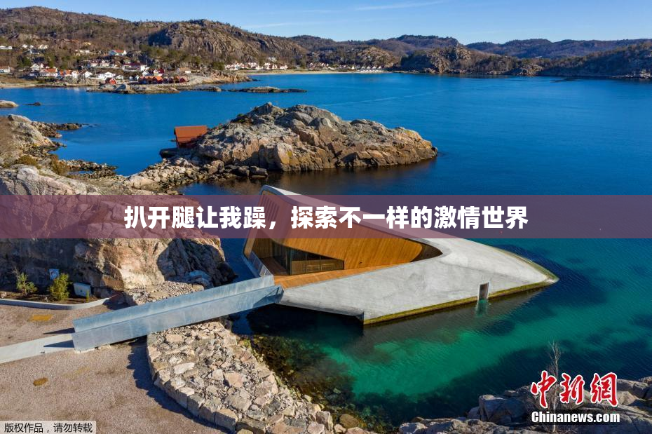 扒开腿让我躁，探索不一样的激情世界