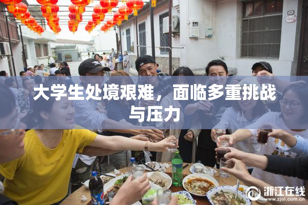 大学生处境艰难，面临多重挑战与压力