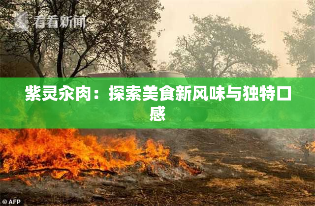 紫灵汆肉：探索美食新风味与独特口感