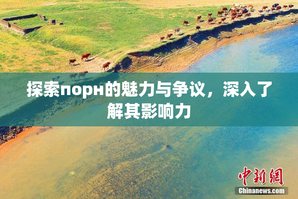 探索порн的魅力与争议，深入了解其影响力