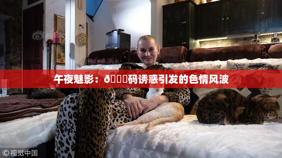 午夜魅影：🈚码诱惑引发的色情风波