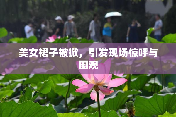 美女裙子被掀，引发现场惊呼与围观