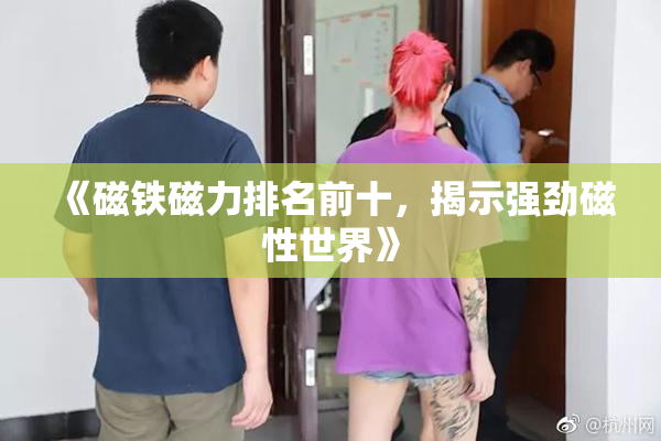 《磁铁磁力排名前十，揭示强劲磁性世界》