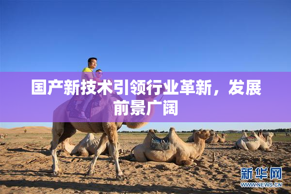 国产新技术引领行业革新，发展前景广阔