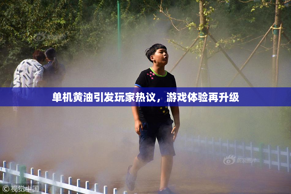 单机黄油引发玩家热议，游戏体验再升级