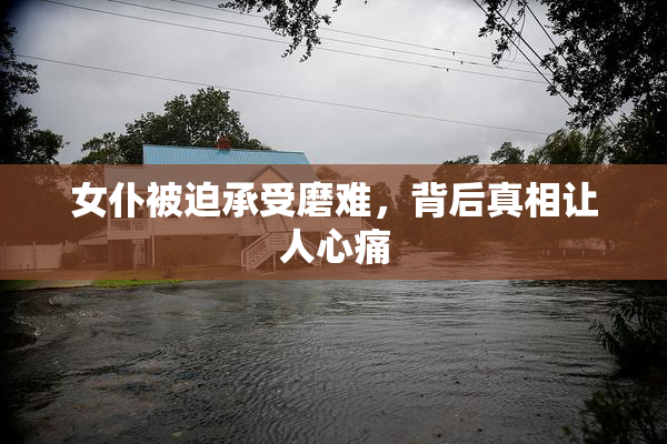 女仆被迫承受磨难，背后真相让人心痛