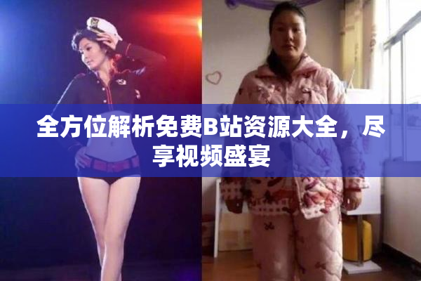 全方位解析免费B站资源大全，尽享视频盛宴