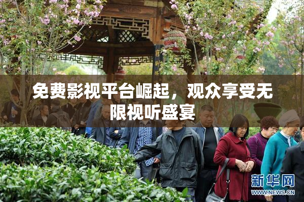 免费影视平台崛起，观众享受无限视听盛宴