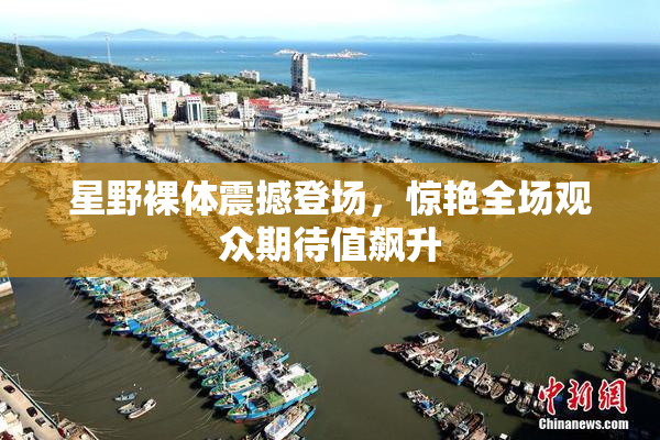 星野裸体震撼登场，惊艳全场观众期待值飙升